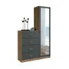 Comoda 4 Cajones 1 Puerta Con Espejo Cajonera Dormitorio Grafito - Cómodas, Uruguay | Soy Hogar, vista 2 de 4
