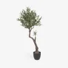 Planta artificial Olivo con maceta negro 140 cm en Negro, Uruguay | Kavehome, vista 1 de 9