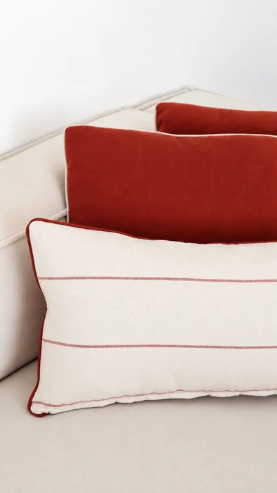 Almohadon Tierra Raya simple - Textiles, Uruguay | Decilo con Alma, vista 3