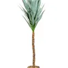 Planta Mandioca 110cm - Color Unico en Multicolor - Muebles para el exterior, Uruguay | Indian, vista 1 de 4