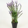 Planta Lavender 48cm - Color Unico en Multicolor - Muebles para el exterior, Uruguay | Indian, vista 1 de 4