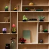 JUEGO DE MESA  LEGO® SUCULENTAS  - Decoración, Uruguay | Viasono, vista 2 de 4