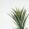 Planta Yucca 150cm - Color Unico en Multicolor - Muebles para el exterior, Uruguay | Indian, vista 2 de 4