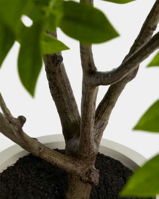 Árbol artificial Rhus con maceta blanca 185 cm en Blanco - Macetas, Uruguay | Kavehome, vista 3