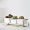 3 MACETAS CERAMICA 28x10x10CM BLANCO/DORADO en Blanco - Macetas, Uruguay | Koz, vista 2 de 4