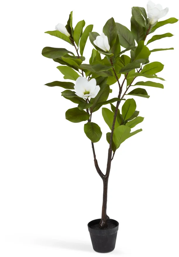 Planta artificial SPINDEL A120cm magnolia en Verde - Muebles para el exterior, Uruguay | JYSK, vista 2