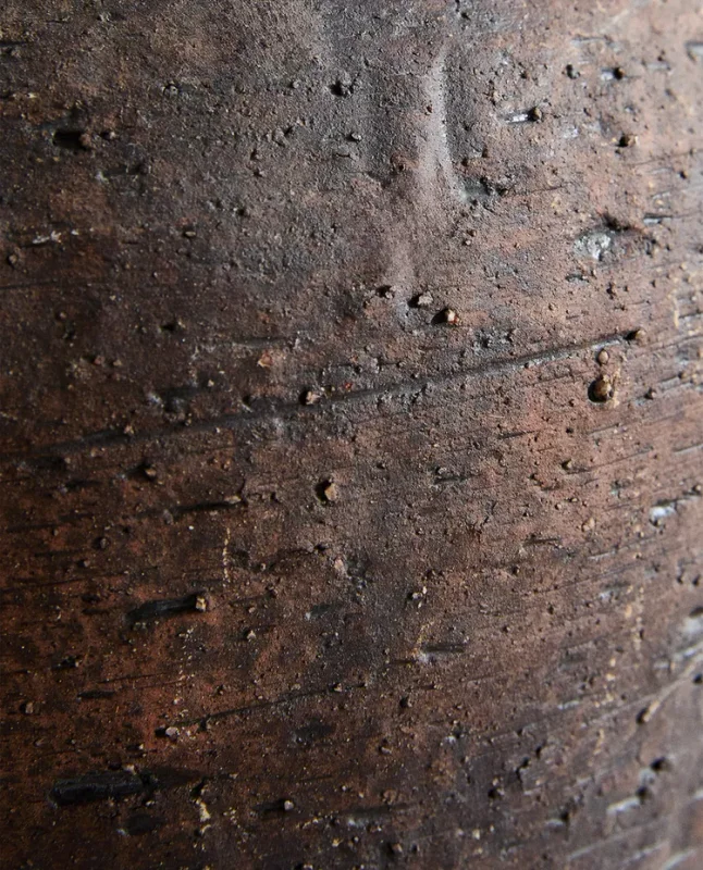 JARRÓN CERÁMICA TEXTURA en Marrón - Jarrones, Uruguay | Zara Home, vista 6