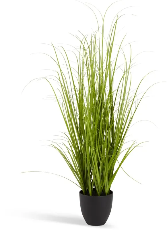 Planta artificial MARKUSFLUE A150cm gram en Verde - Muebles para el exterior, Uruguay | JYSK