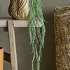 Planta de Tilandsia - Decoración, Uruguay | Martinika Deco, vista 4 de 6