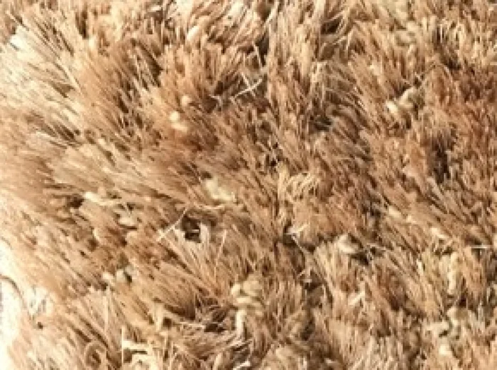 Alfombra Noble Beige - 200*250 en Marrón - Alfombras, Uruguay | Noe, vista 2