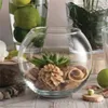 FLORERO PECERA Ø 31 CM H 24CM CRISA en Transparente - Jarrones, Uruguay | Decohogar, vista 3 de 3