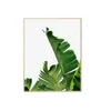 Marco Natural Banana Leaves I en Madera natural - Decoración de pared, Uruguay | Finkel, vista 1 de 2