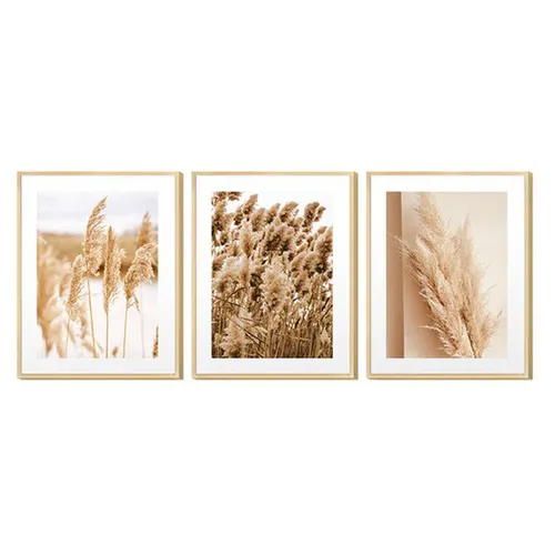 Set de 3 cuadros decorativos Naturaleza Pampa en Multicolor - Decoración de pared, Uruguay | Alta Gracia Deco