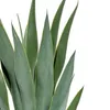 Planta Mandioca 55cm - Color Unico en Multicolor - Muebles para el exterior, Uruguay | Indian, vista 3 de 4