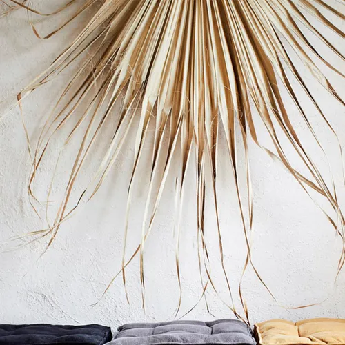 Hoja de Palmera Aina en Madera natural - Decoración de pared, Uruguay | Walnut