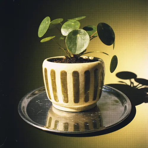 Maceta de cerámica Toscana - verde - Macetas, Uruguay | Buho Store