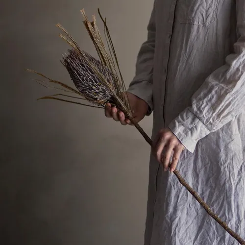 Flor Palm marrón - Decoración, Uruguay | Martinika Deco