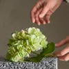 Tallo Hortensia verde - Decoración, Uruguay | Martinika Deco, vista 5 de 6