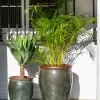Ernest Moss Green - Macetas, Uruguay | Balcony, vista 1 de 6
