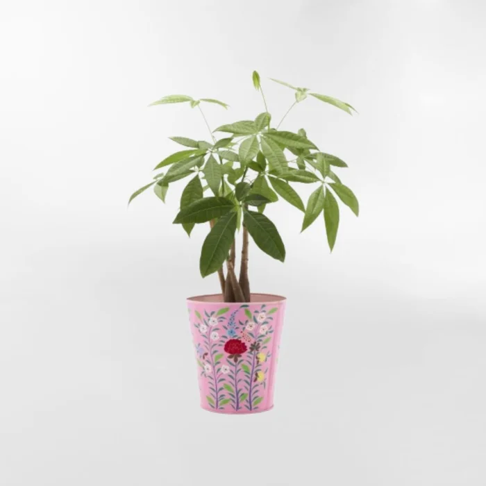 MACETERO FRIDA Rosa Large en Rosa - Decoración, Uruguay | Viasono, vista 2