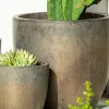 Kate Bronce - Macetas, Uruguay | Balcony, vista 5 de 11