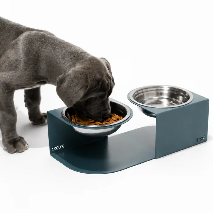 Pet Bowl en Azul - Decoración, Uruguay | Zeze Home Deco, vista 3