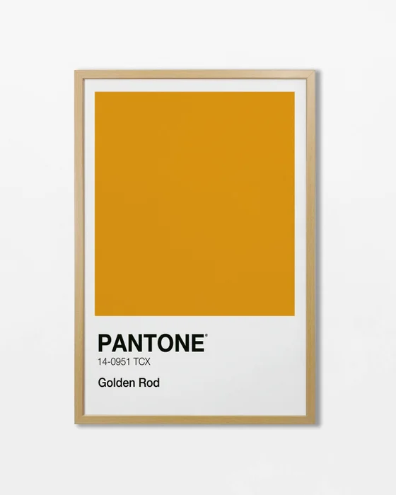 Pantone en Amarillo - Láminas, Uruguay | La Cuadrería