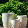 William Creamy White - Macetas, Uruguay | Balcony, vista 3 de 5