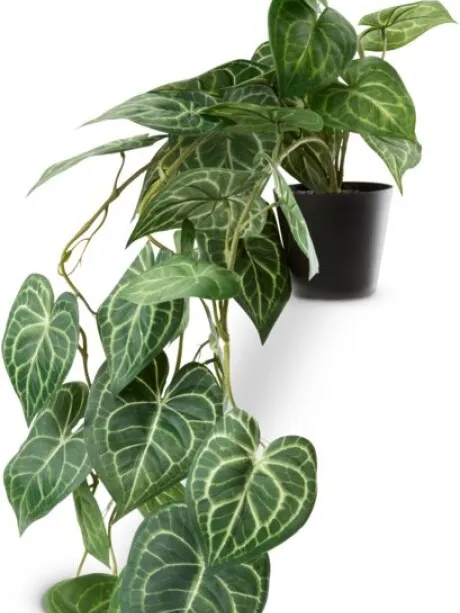 Planta artificial KNOPPSVANE Al30cm verde en Verde - Muebles para el exterior, Uruguay | JYSK