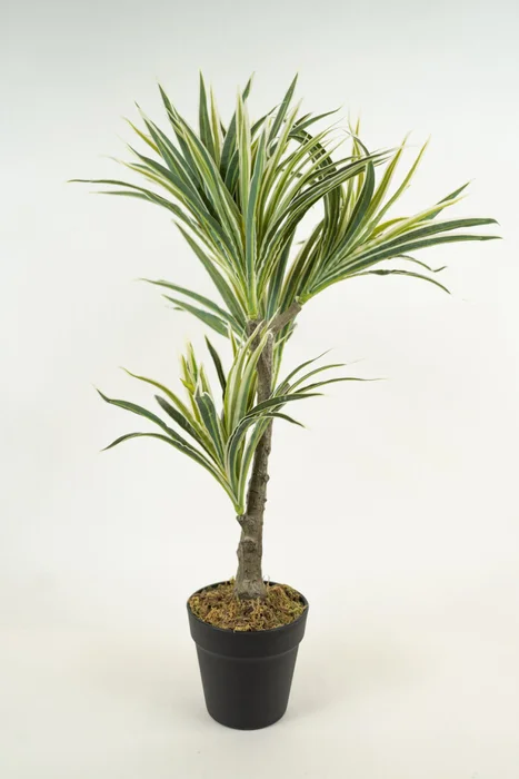 Planta White Grass 70cm - Color Unico en Multicolor - Muebles para el exterior, Uruguay | Indian