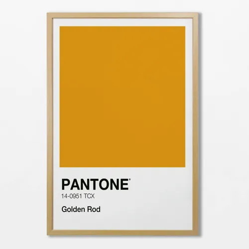 Pantone en Amarillo - Láminas, Uruguay | La Cuadrería