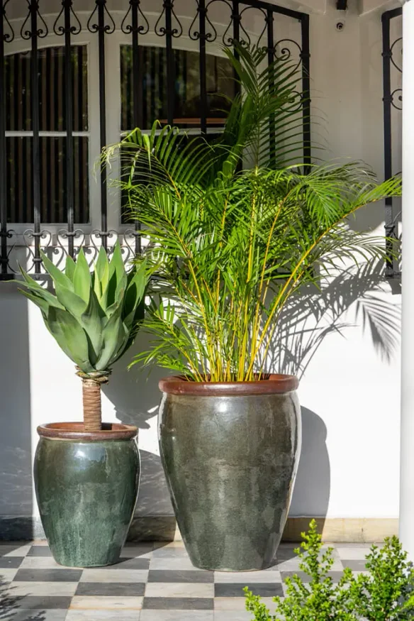 Ernest Moss Green - Macetas, Uruguay | Balcony, vista 2