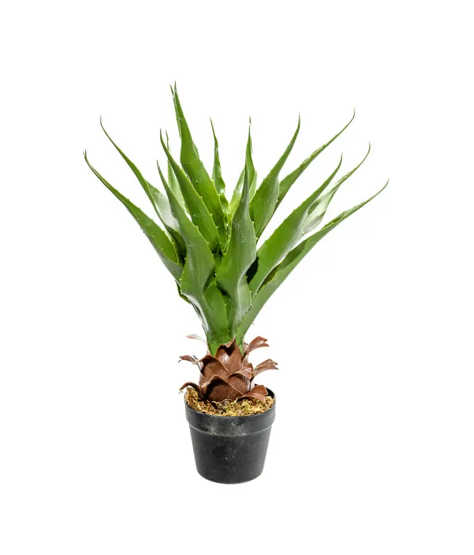 Planta Aloe 60cm - Color Unico en Multicolor - Muebles para el exterior, Uruguay | Indian