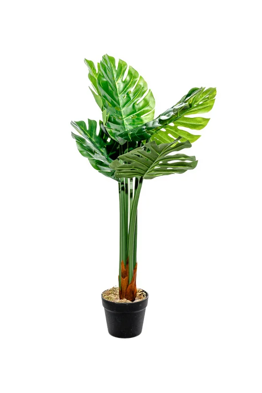 Planta Monstera 85cm - Color Unico en Multicolor - Muebles para el exterior, Uruguay | Indian, vista 4
