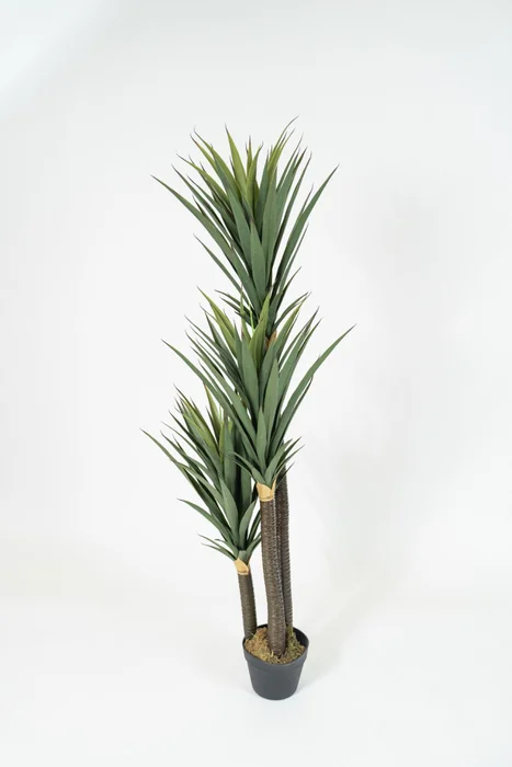 Planta Yucca 150cm - Color Unico en Multicolor - Muebles para el exterior, Uruguay | Indian