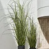 Planta artificial MARKUSFLUE A150cm gram en Verde - Muebles para el exterior, Uruguay | JYSK, vista 2 de 2