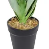 Planta Mandioca 55cm - Color Unico en Multicolor - Muebles para el exterior, Uruguay | Indian, vista 2 de 4