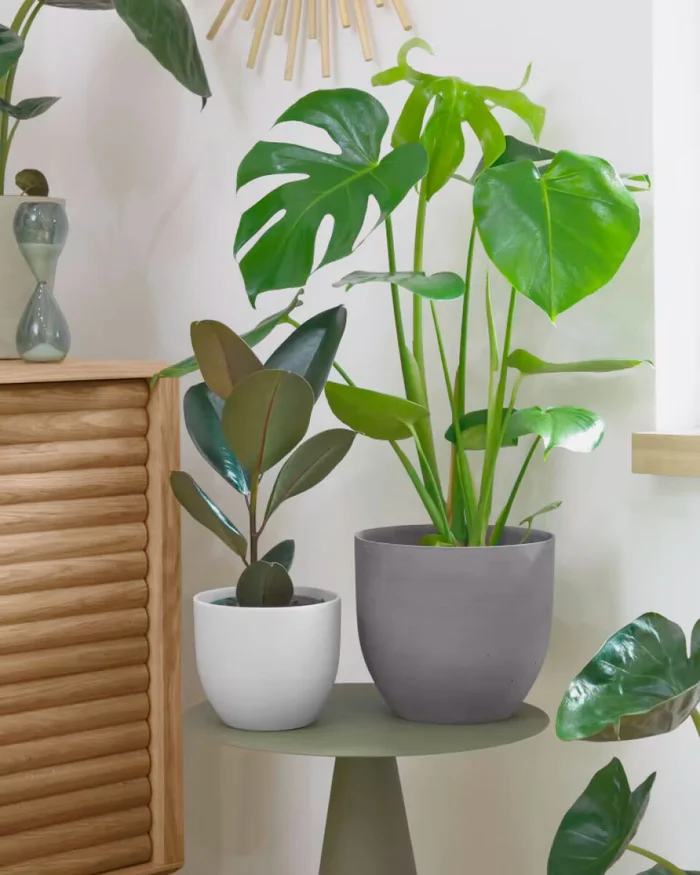 Set Lula de 2 maceteros Ø 22 cm / Ø 16 cm en Blanco, Gris - Macetas, Uruguay | Kavehome, vista 2