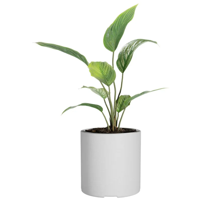 Macetero Cilindro 30 Blanco Alto 30cm x 30cm diametro, 20 lts en Blanco - Macetas, Uruguay | Champagne Home