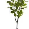 Planta artificial SPINDEL A120cm magnolia en Verde - Muebles para el exterior, Uruguay | JYSK, vista 2 de 4