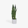 Planta artificial Sansevieria con maceta blanco 55 cm en Blanco, Uruguay | Kavehome, vista 1 de 6