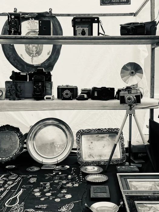 Vintage - Láminas, Uruguay | Mara Estudio