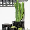 Kate Black - Macetas, Uruguay | Balcony, vista 2 de 5