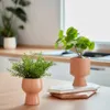Planta artificial Bailey con maceta de cerámica rosa 21,6 cm en Rosa - Macetas, Uruguay | Kavehome, vista 3 de 7