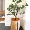 Eucalyptus en Negro - Decoración, Uruguay | Indrana, vista 2 de 3