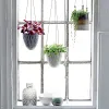 Flowerpot, Hanging, Grey, Stoneware - Macetas, Uruguay | Tutto Deco, vista 2 de 2