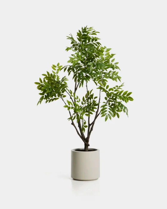 Árbol artificial Rhus con maceta blanca 185 cm en Blanco - Macetas, Uruguay | Kavehome