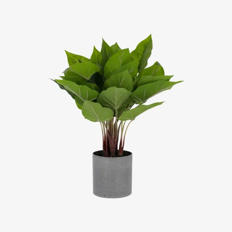 Planta artificial Anthurium con maceta de cemento 50 cm en Gris - Macetas, Uruguay | Kavehome