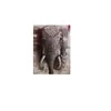 Oleo Decorativo Elefante India Chico en Oleo Decorativo Elefante India Chico - Decoración de pared, Uruguay | Finkel, vista 2 de 2