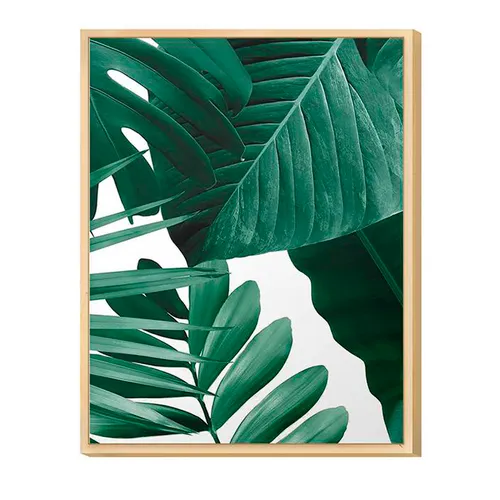 Cuadro / Lámina con marco 20x30cm Hojas y Plantas 1 - Decoración de pared, Uruguay | Alta Gracia Deco